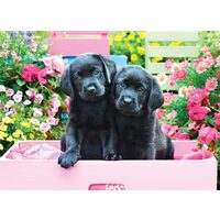 Puzzle 500 Teile XXL - Black Labs in Pink Box
