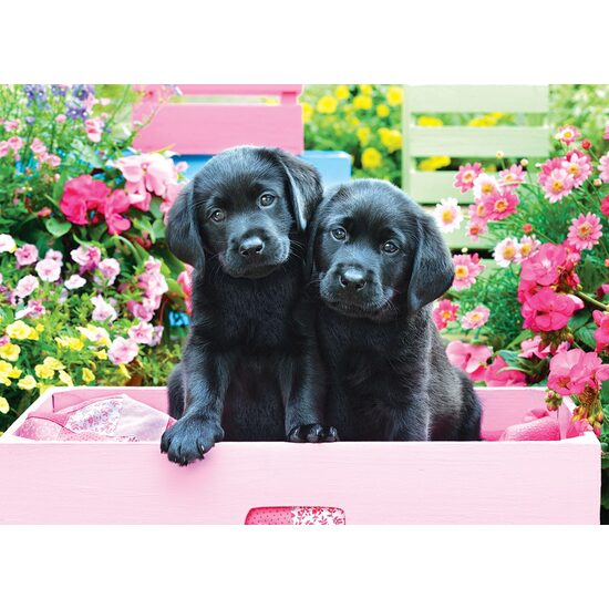 Puzzle 500 piese XXL - Black Labs in Pink Box