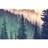 Puzzle Ravensburger - Wald, 200 Teile