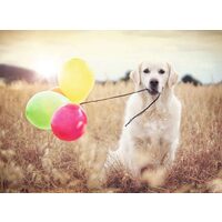 Puzzle Ravensburger - Hund mit Luftballons, 500 Teile