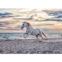 Puzzle Ravensburger - Pferd am Strand, 500 Teile