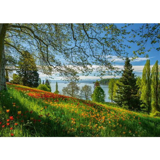 Puzzel 1000 stukjes - Tulpen bloeien: eiland Mainau