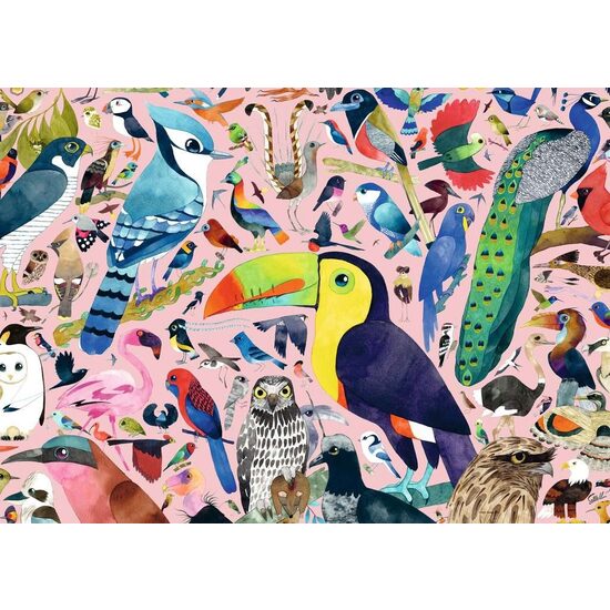 Puzzle da 1000 pezzi - Gli uccelli di Matt Sewell