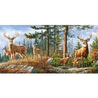 Puzzle 4000 Teile - Königliche Hirschfamilie
