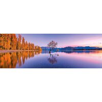 Puzzle 1000 Teile Panorama Clementoni - Lake Wanaka Tree