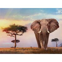 Puzzle 500 Teile Clementoni - Afrikanischer Sonnenuntergang