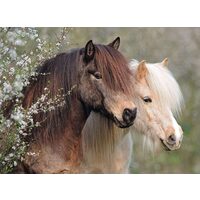 Puzzle 150 Teile Ravensburger - Ponys