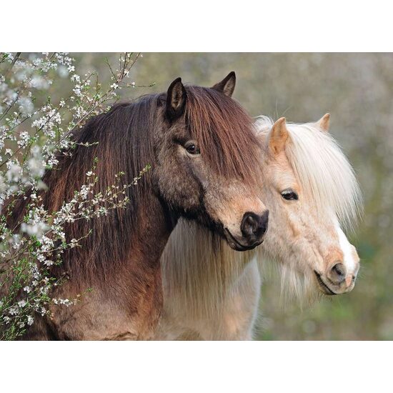 Puzzle 150 piese Ravensburger - Ponei
