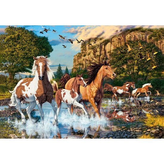 Puzzle 1000 piese Castorland - Horse Wonderland