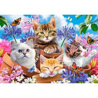 Puzzle 500 Teile Castorland - Kätzchen mit Blumen