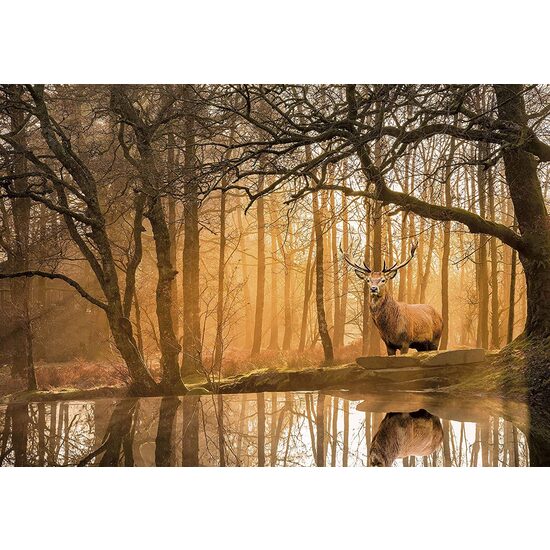 Puzzle 500 piese Clementoni - Peace - Rustling Silence