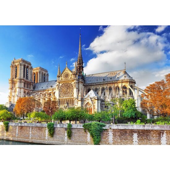 Puzzle 2000 pieces Bluebird - Cathedrale Notre-Dame de Paris