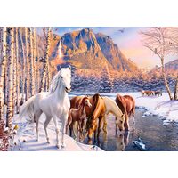 Puzzle 500 pieces Castorland - Winter Melt
