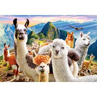 Puzzle 1000 pièces Castorland - Lamas Selfie