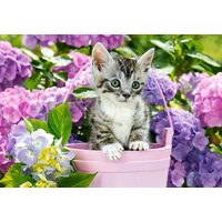 Puzzle 1500 pièces Castorland - Chaton dans un panier