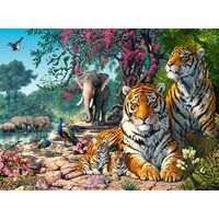 Puzzel 3000 stukjes Castorland - Het Tijgerreservaat