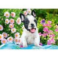 Puzzel 500 stukjes Castorland - Franse Bulldog