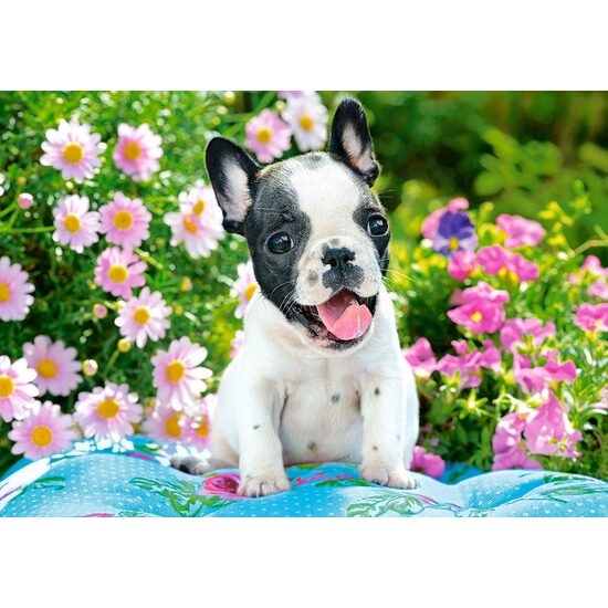Puzzel 500 stukjes Castorland - Franse Bulldog