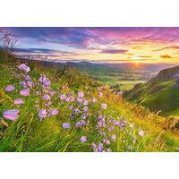 Puzzel 500 stukjes Castorland - Herebells bij zonsopgang