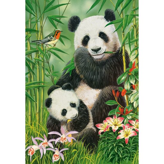 Puzzle 1000 pièces Castorland - Panda Brunch