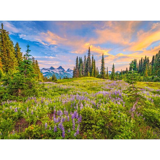 Puzzle 2000 piese Castorland - Blossoms of Morning