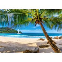 Puzzel 500 stukjes Castorland - Vakanties op de Seychellen