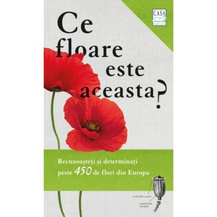 Che fiore è questo?