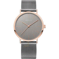 Orologio da donna Bering 13436-369, Quarzo, 36mm, 3ATM, Oro