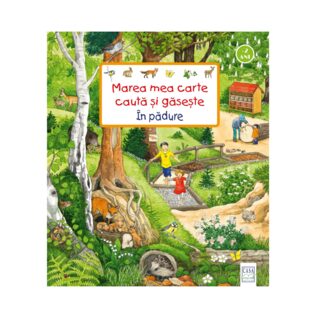 My big book seek and find - In the forest