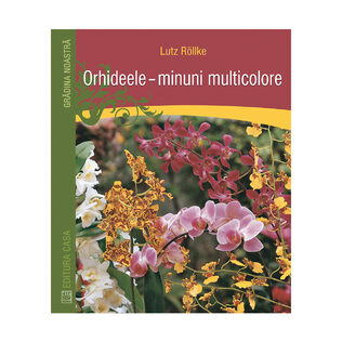 Orchids - multicolored wonders