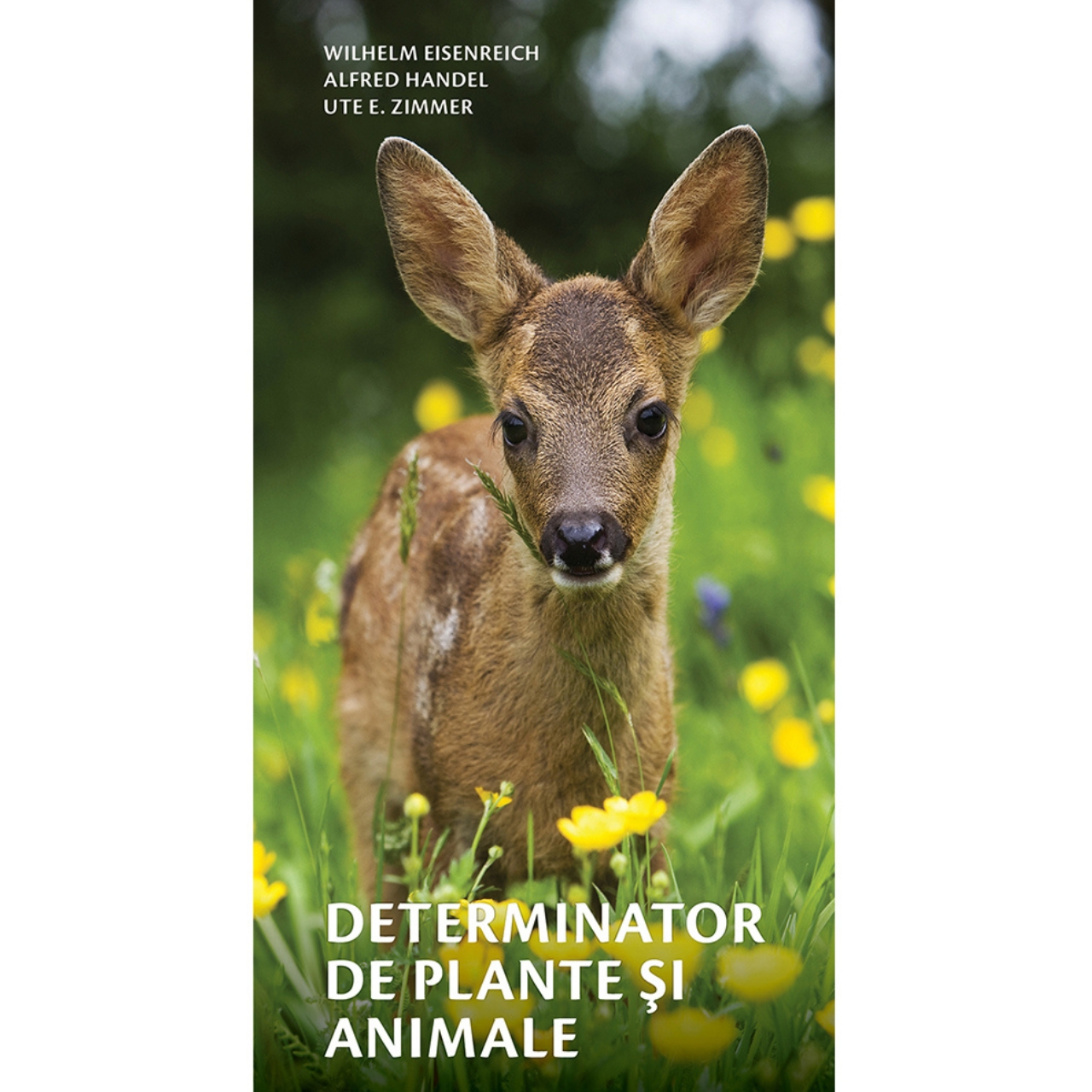 Determinant of plants and animals