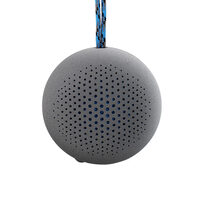 Boompods Rokpod grijze draagbare luidspreker (waterdicht, schokbestendig, draadloos)