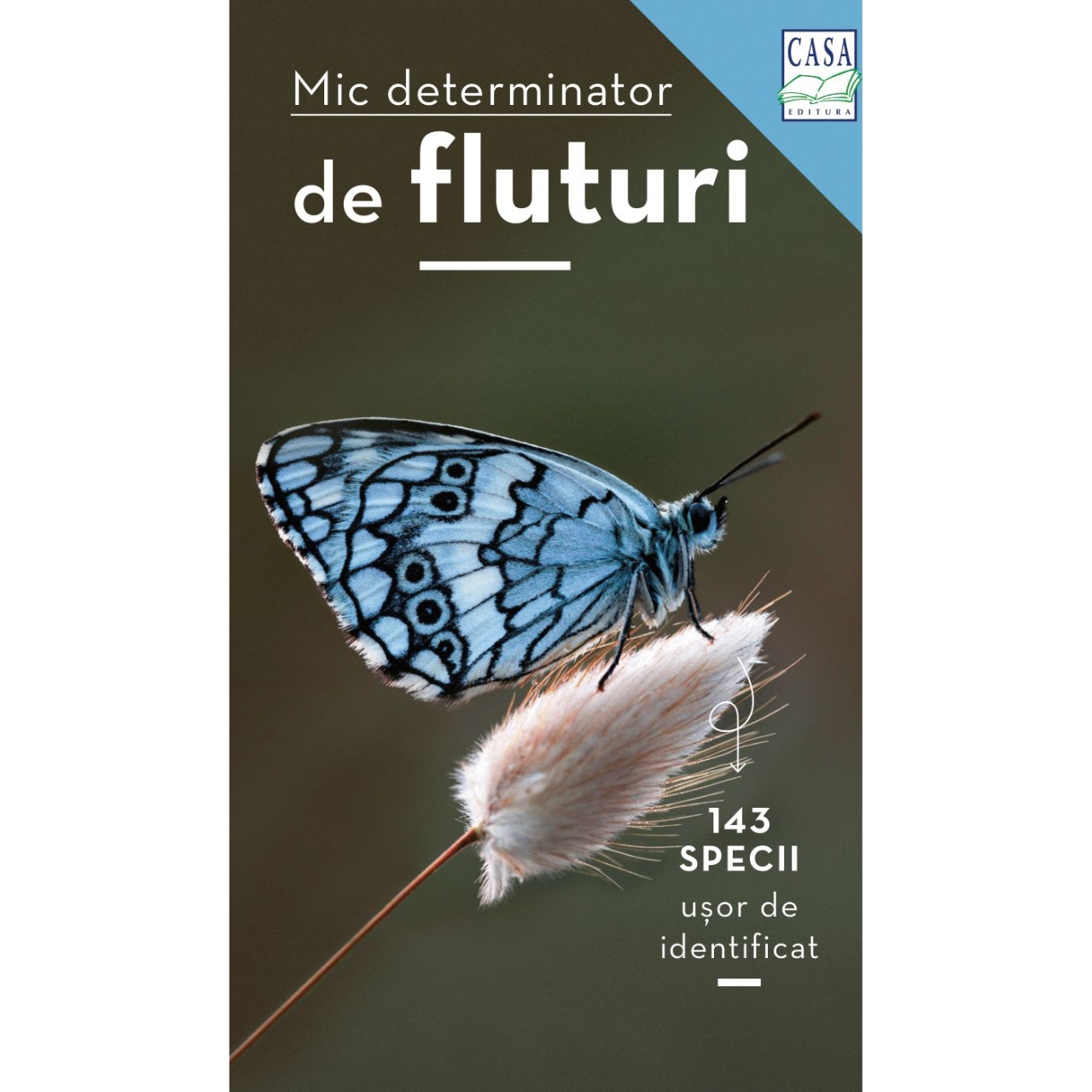 Determinatore della piccola farfalla