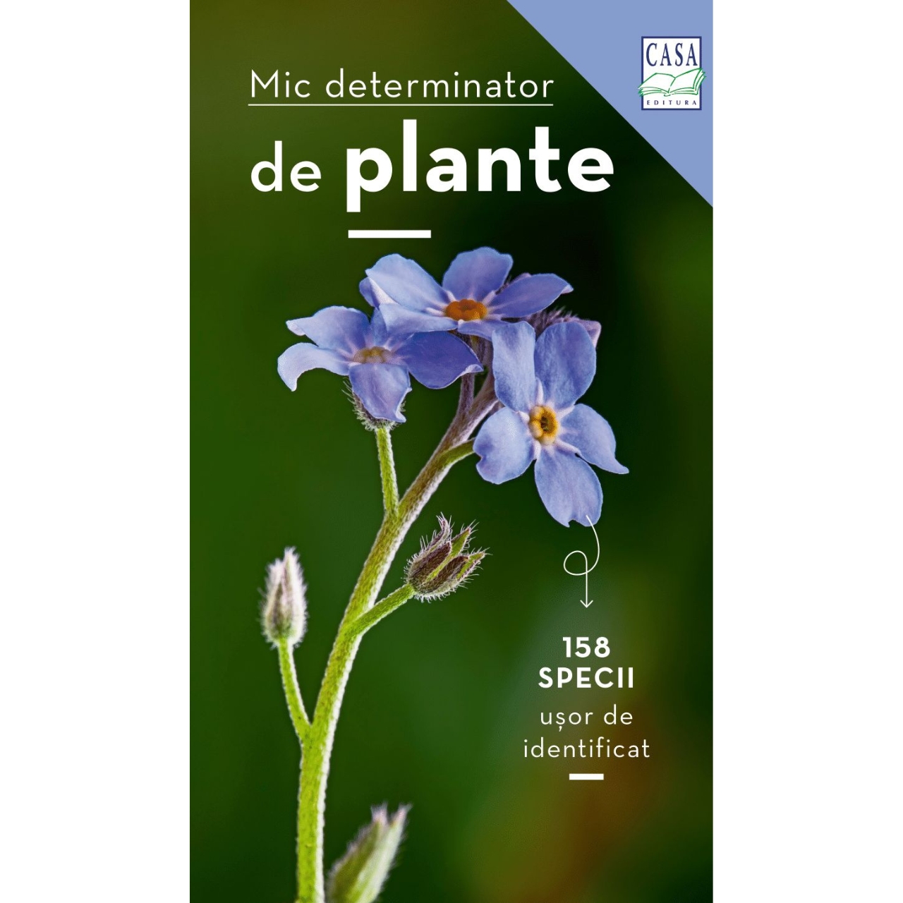 Determinante delle piccole piante