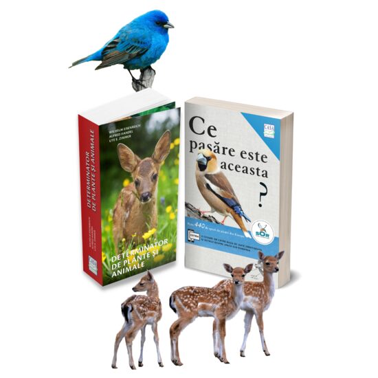 Nature explorers pack