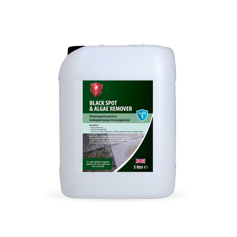 Detergente antimoho, algas y hongos LTP para pavimentos exteriores, 5 L