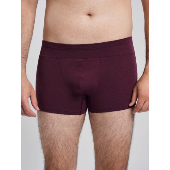 Boxeri bărbați ELECTRYPHY Elevate Bordo S