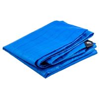 Wasserdichte Plane mit Ringen, 6x10 m, PE, 80 g/m2, 60 m2, Beorol